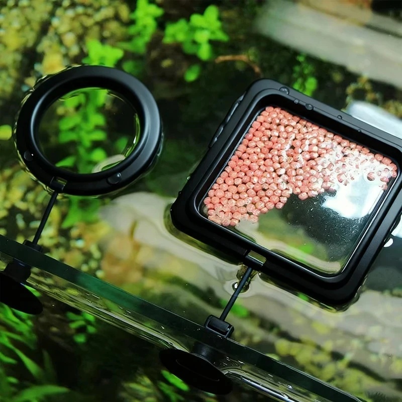Aquarium Fish Price - 1/3pcs Aquarium Fish Feeding Ring Fish