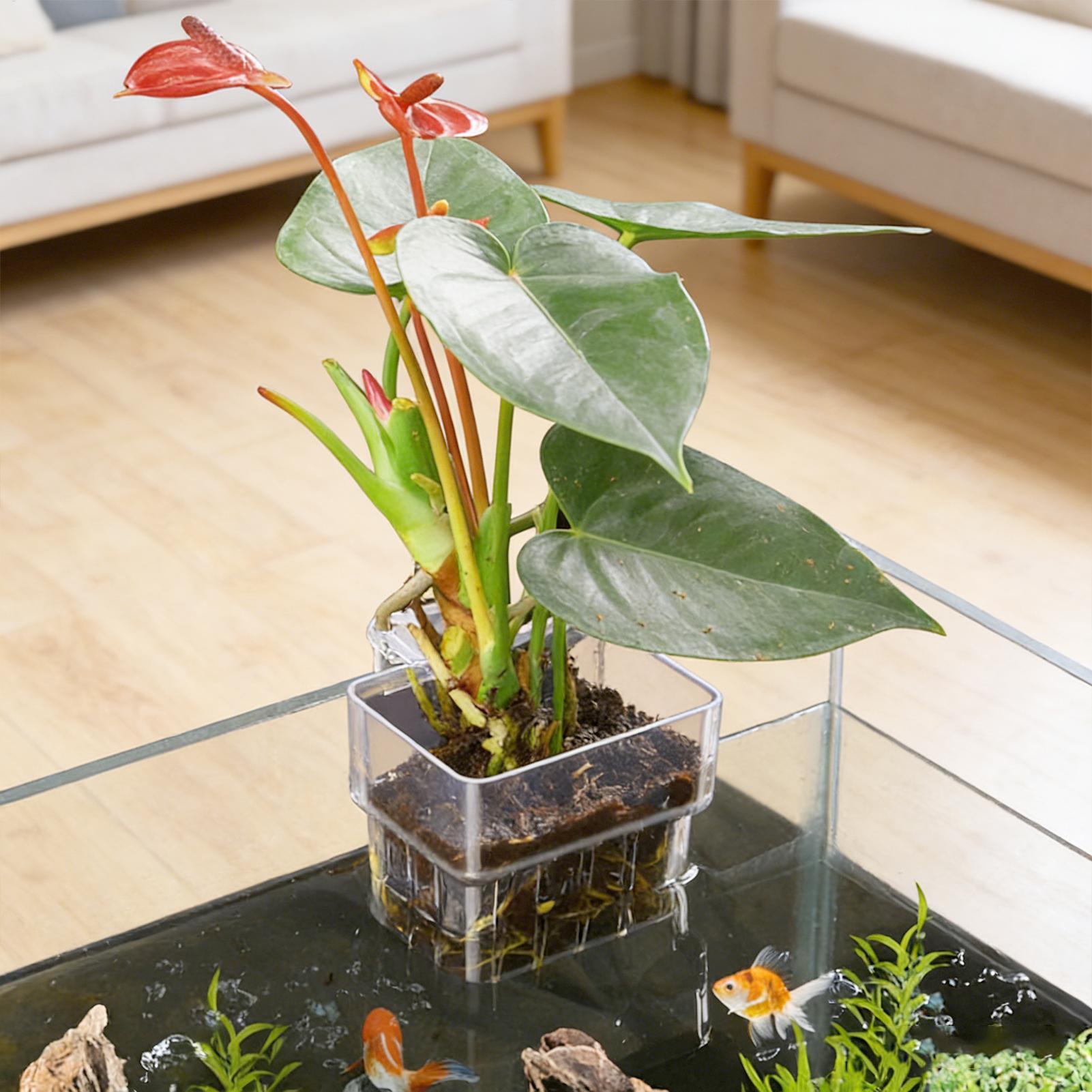Aquarium Fish Names - Aquarium Plant Basket Transparent Fish Tank