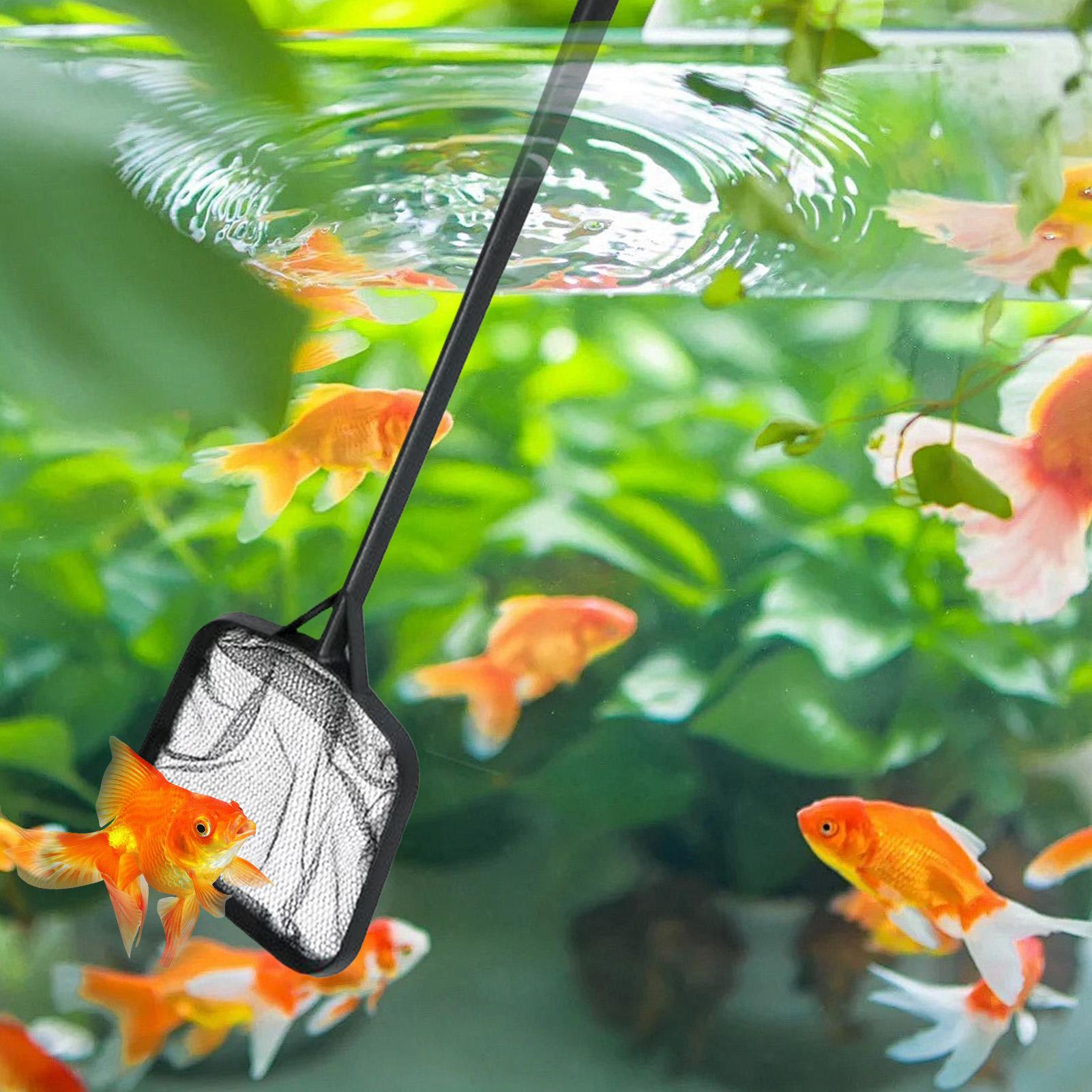 Pool Nets for Cleaning Portabl - огляд і ціна Aquarium Fish Bowl