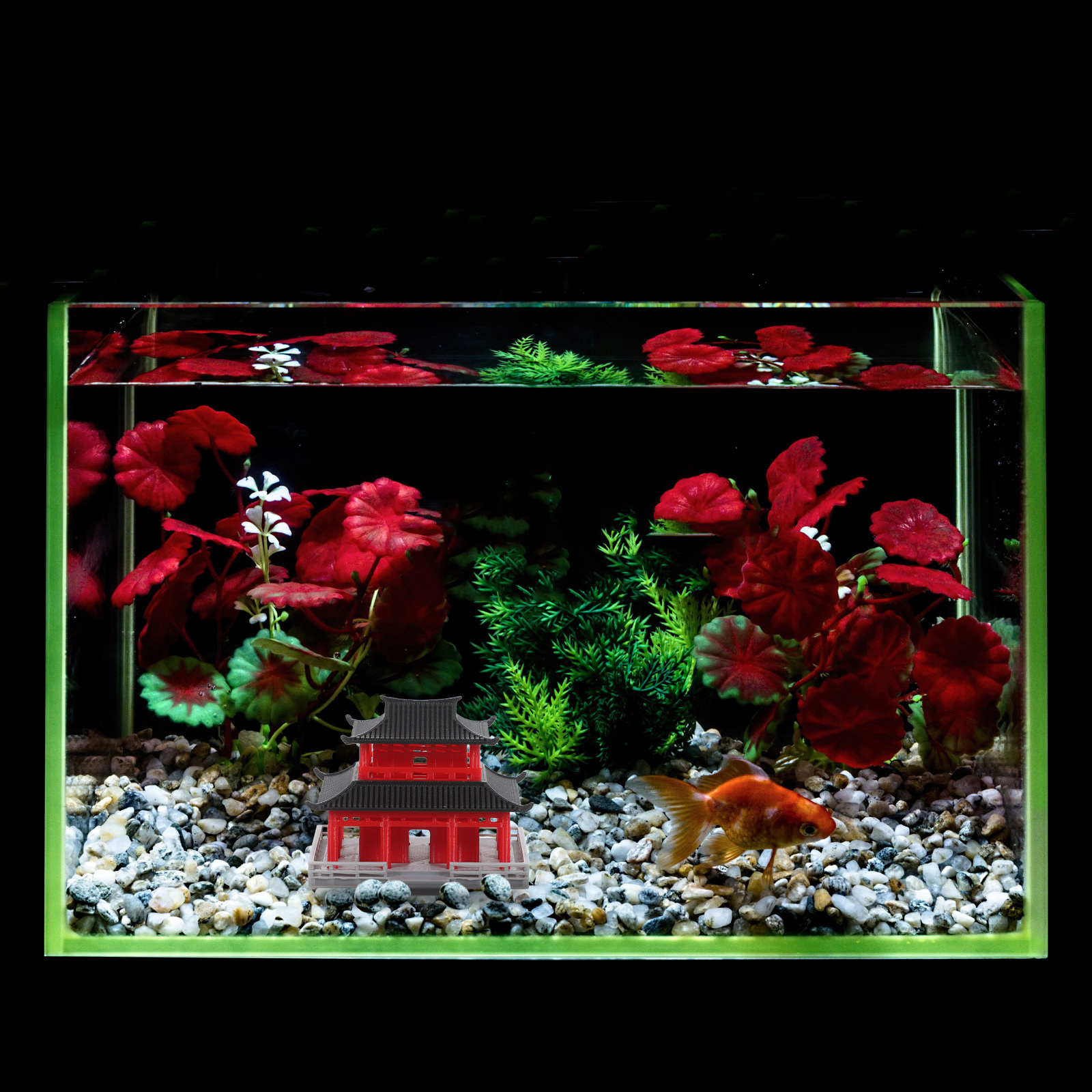 Chinese Ancient Pavilion Black - огляд і ціна Aquarium Fish In