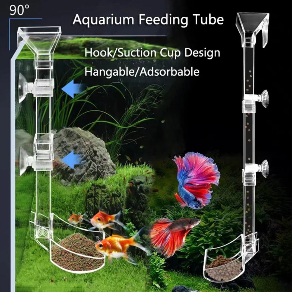 New Transparent Aquarium Fish  - огляд і ціна Aquarium Fish Price