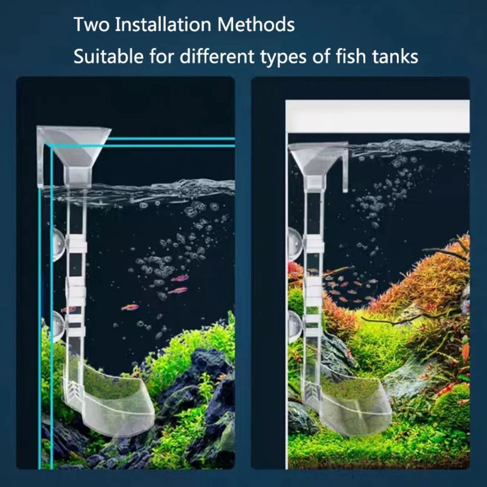 New Transparent Aquarium Fish  - огляд і ціна Aquarium Fish Price