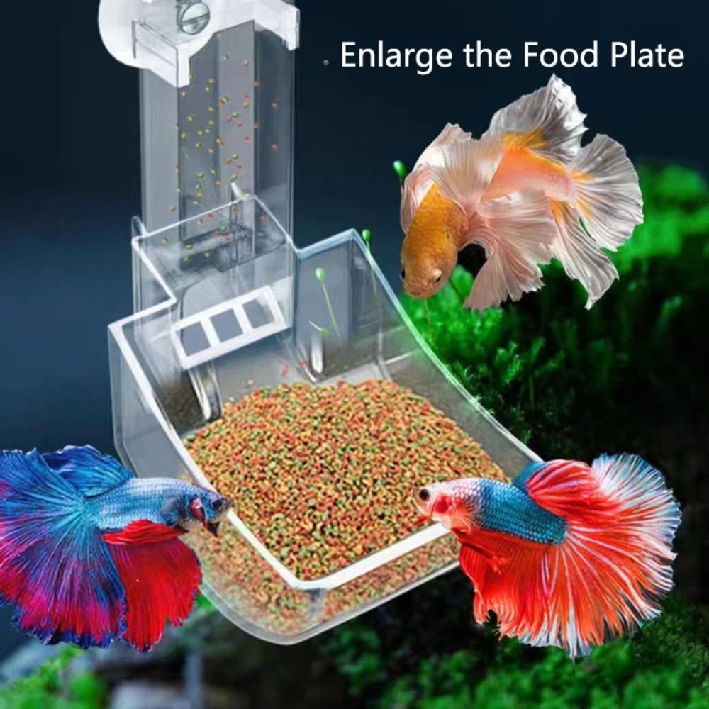 New Transparent Aquarium Fish  - огляд і ціна Aquarium Fish Price