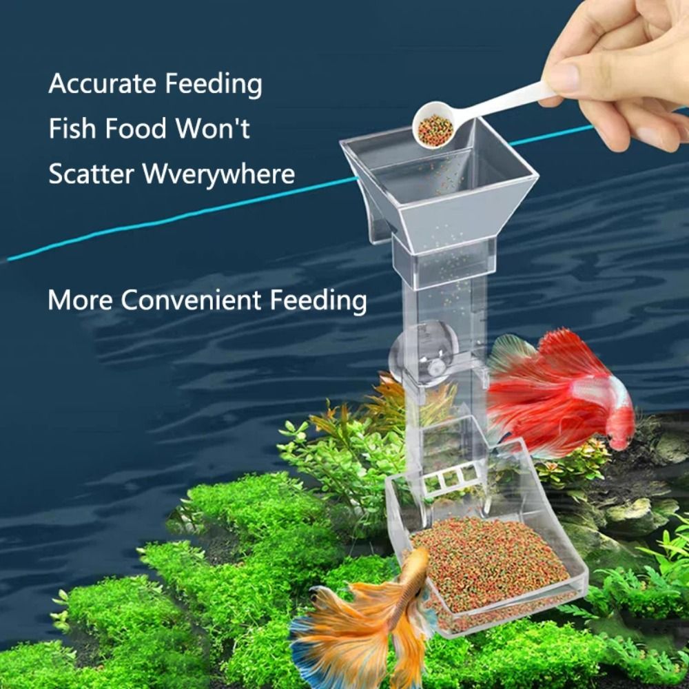 New Transparent Aquarium Fish  - огляд і ціна Aquarium Fish Price