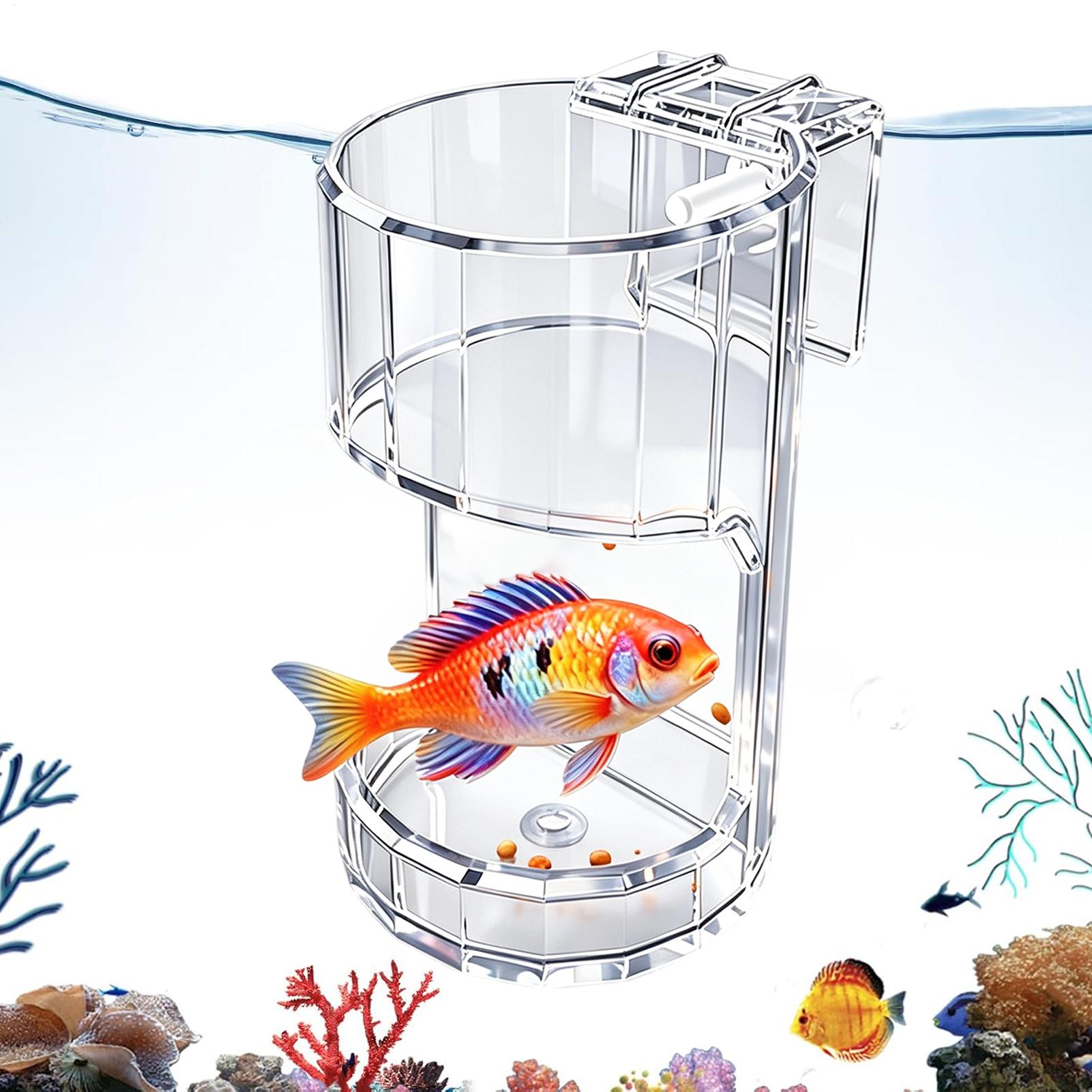 Aquarium Feeding Dish Transpar - огляд і ціна Aquarium Fish Price