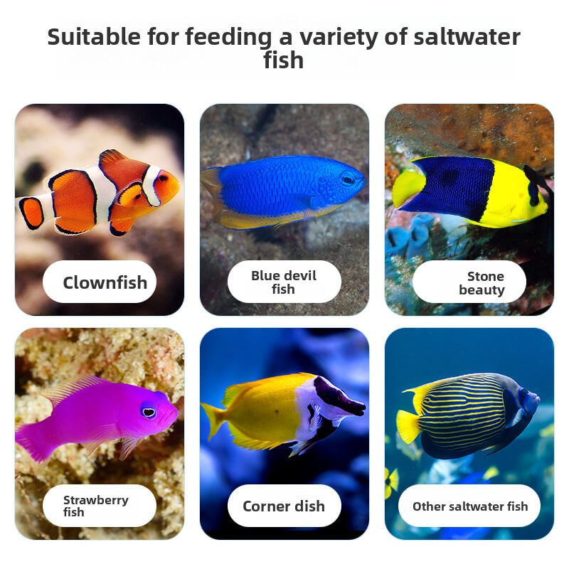 DEERA Clownfish & Tang Food |  - огляд і ціна Aquarium Fish Price