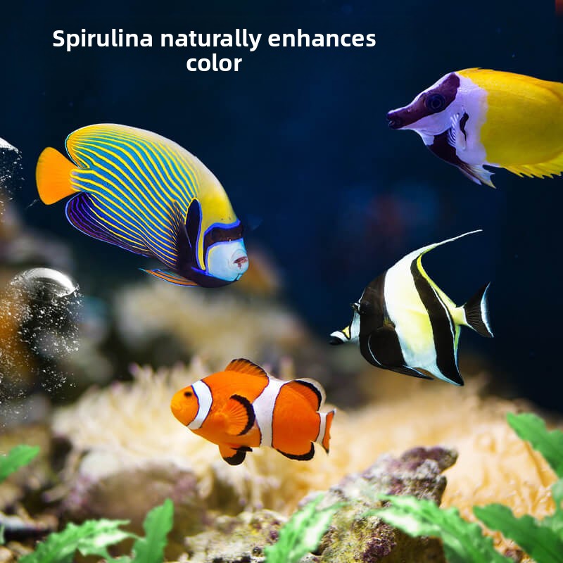DEERA Clownfish & Tang Food |  - огляд і ціна Aquarium Fish Price