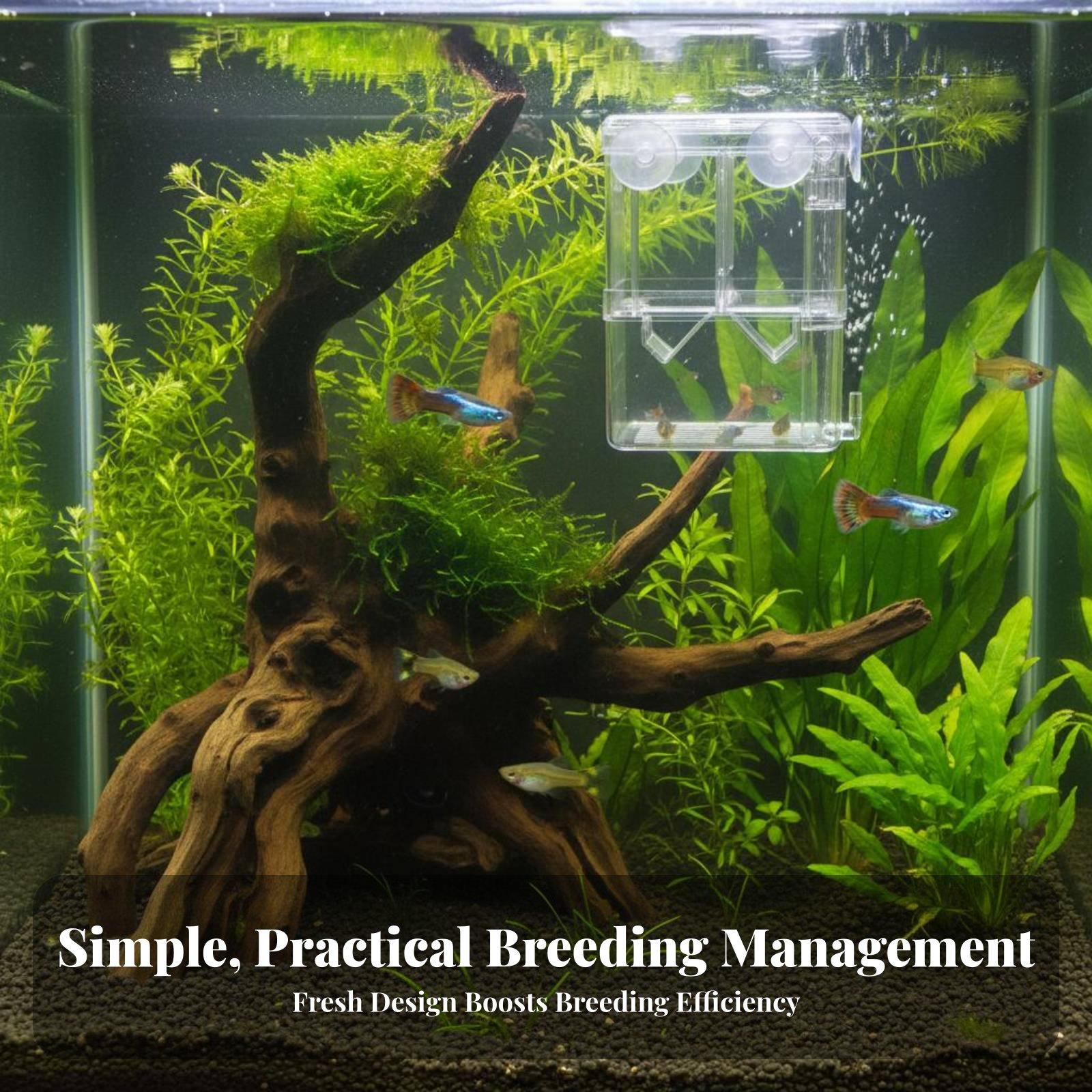Double Layer Aquarium Breeding - огляд і ціна Aquarium Fish In