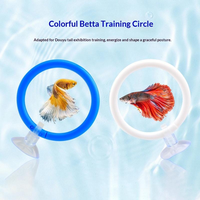 Colorful Betta Fish Training R - огляд і ціна Aquarium Fish Game