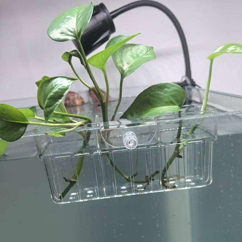 Hydroponic Plant Basket Food G - огляд і ціна Aquarium Fish In