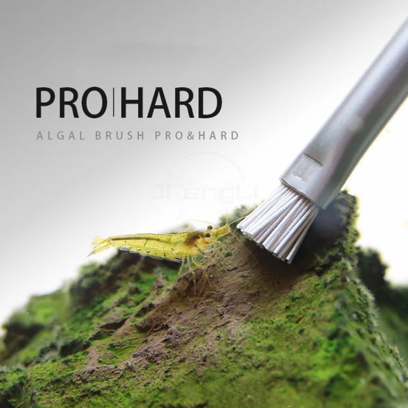 Aquapro Algae Brush Cleaning B - огляд і ціна Algae Scraper Blade
