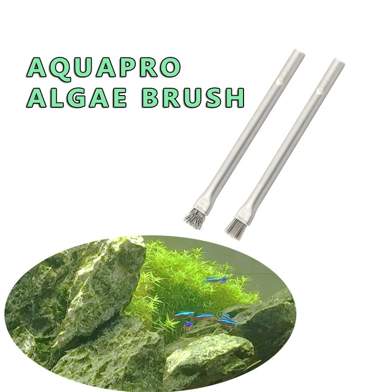 Aquapro Algae Brush Cleaning B - огляд і ціна Algae Scraper Blade