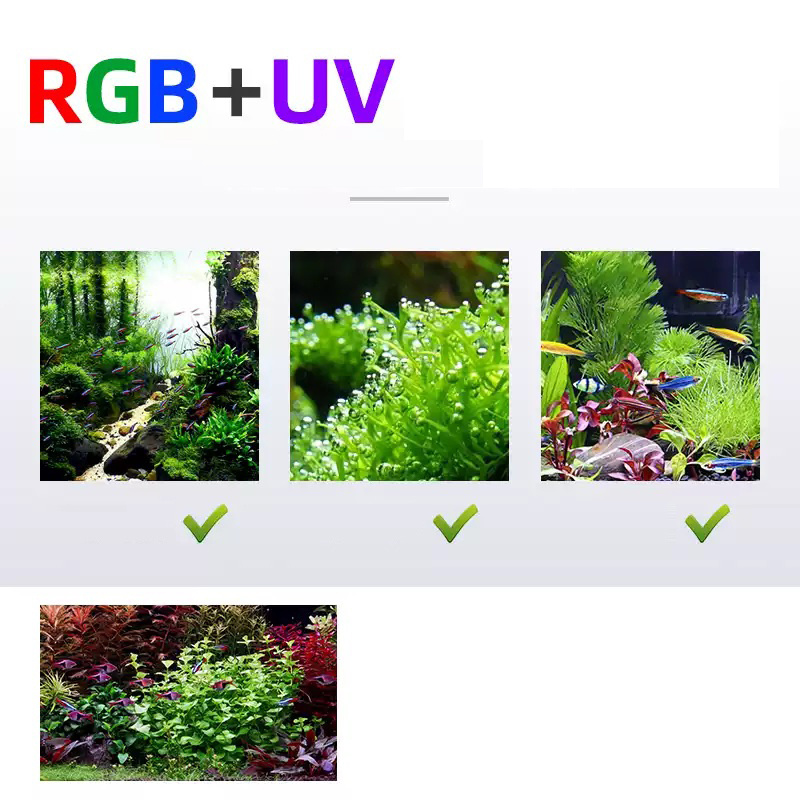Led Lighting 60cm 80cm 90cm RG - огляд і ціна Aquarium Fish Price