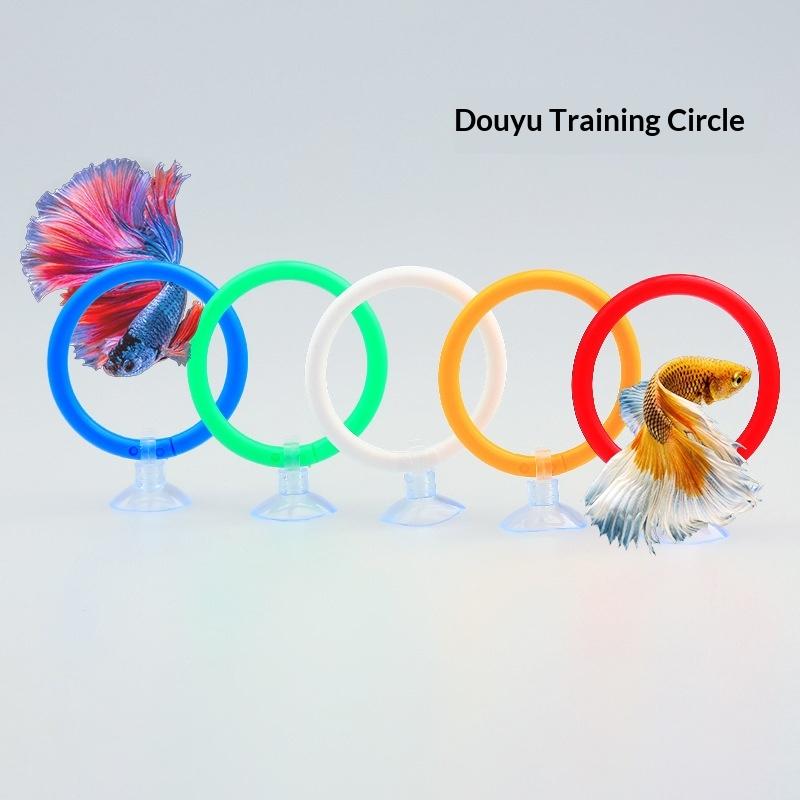 Aquarium Betta Fish Training R - огляд і ціна Aquarium Fish Game