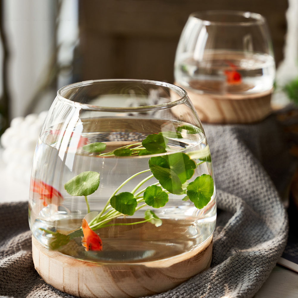 1Set Clear Glass Hydroponic Pl - огляд і ціна Aquarium Fish Bowl