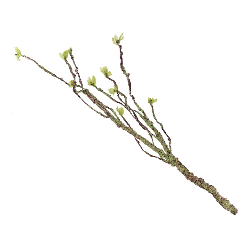Vines Decor Climbing Branches  - огляд і ціна Aquarium Fish Farm