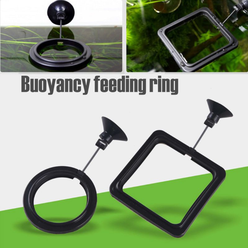 Aquarium Fish Feeding Ring Fis - огляд і ціна Aquarium Fish Price